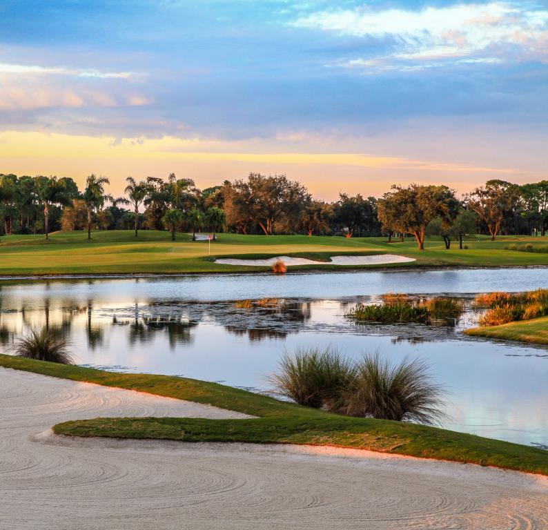 Golf course - fazio-course-pga-national : 16appbunkerchamp