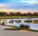 Golf course - fazio-course-pga-national : 16appbunkerchamp