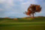 Golf course - lykia-links-golf : lykia-links-2144-web