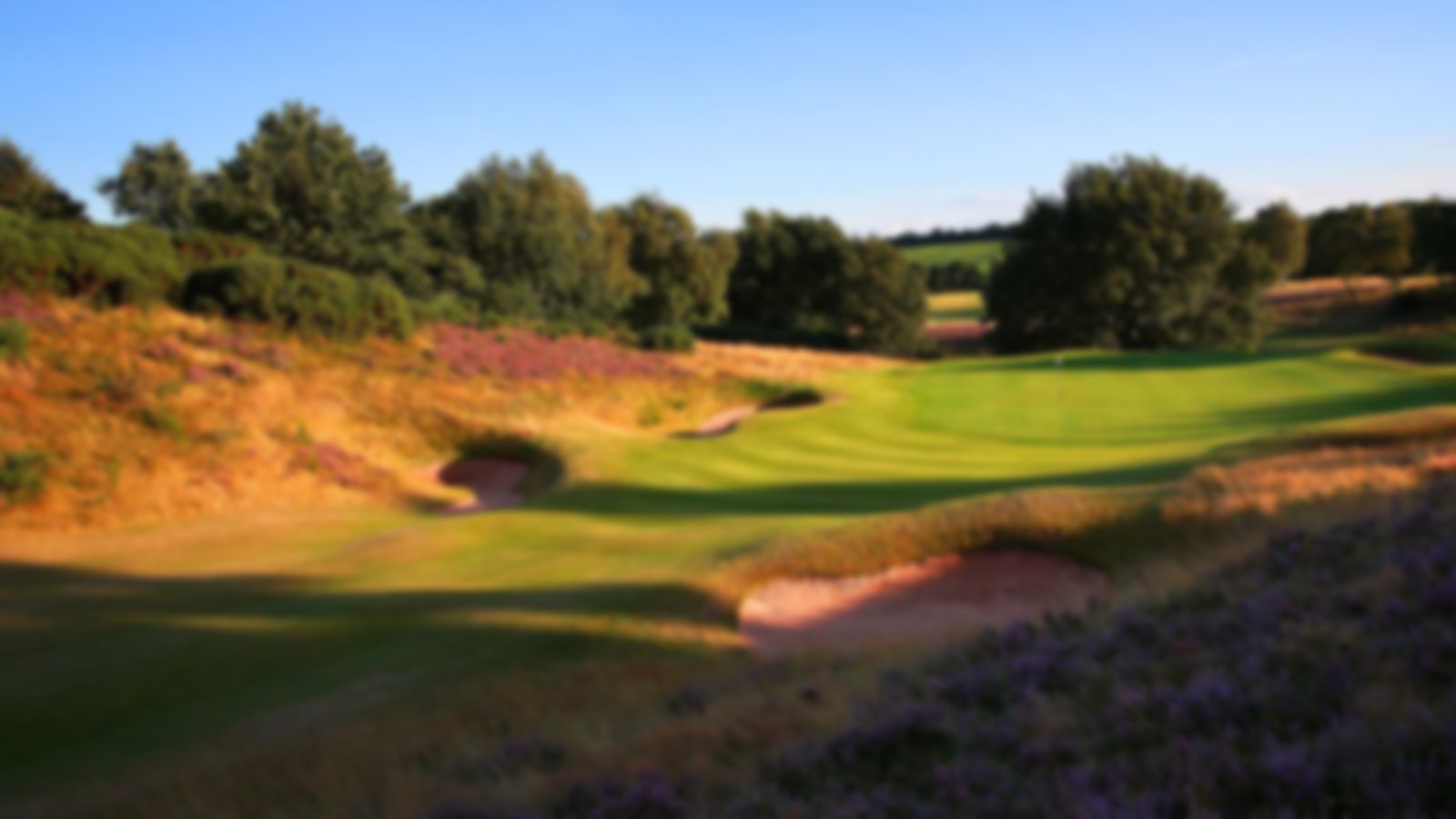 Great approach shot to gree at Notts Golf Course
