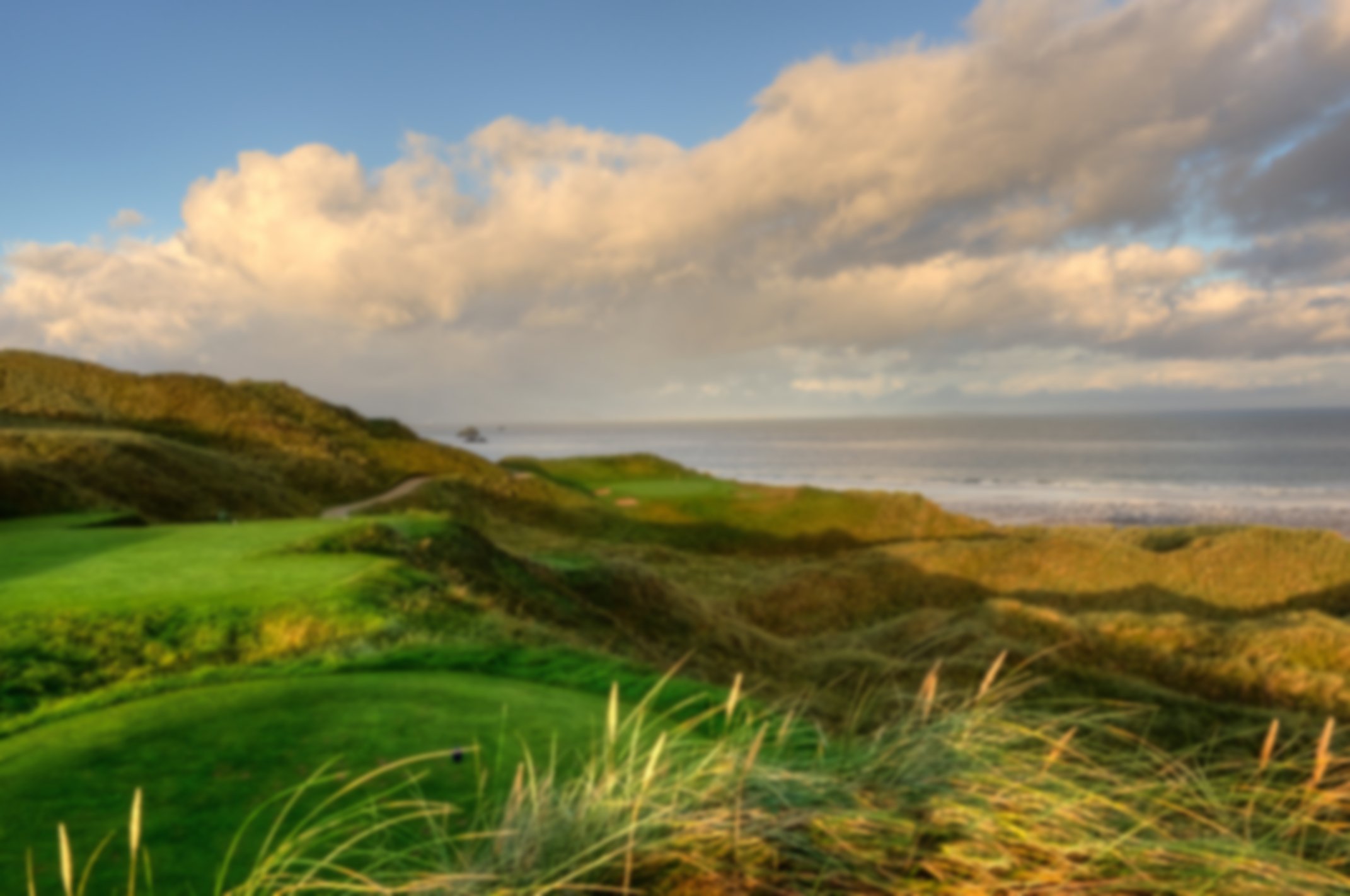 Tralee - Course Image 1