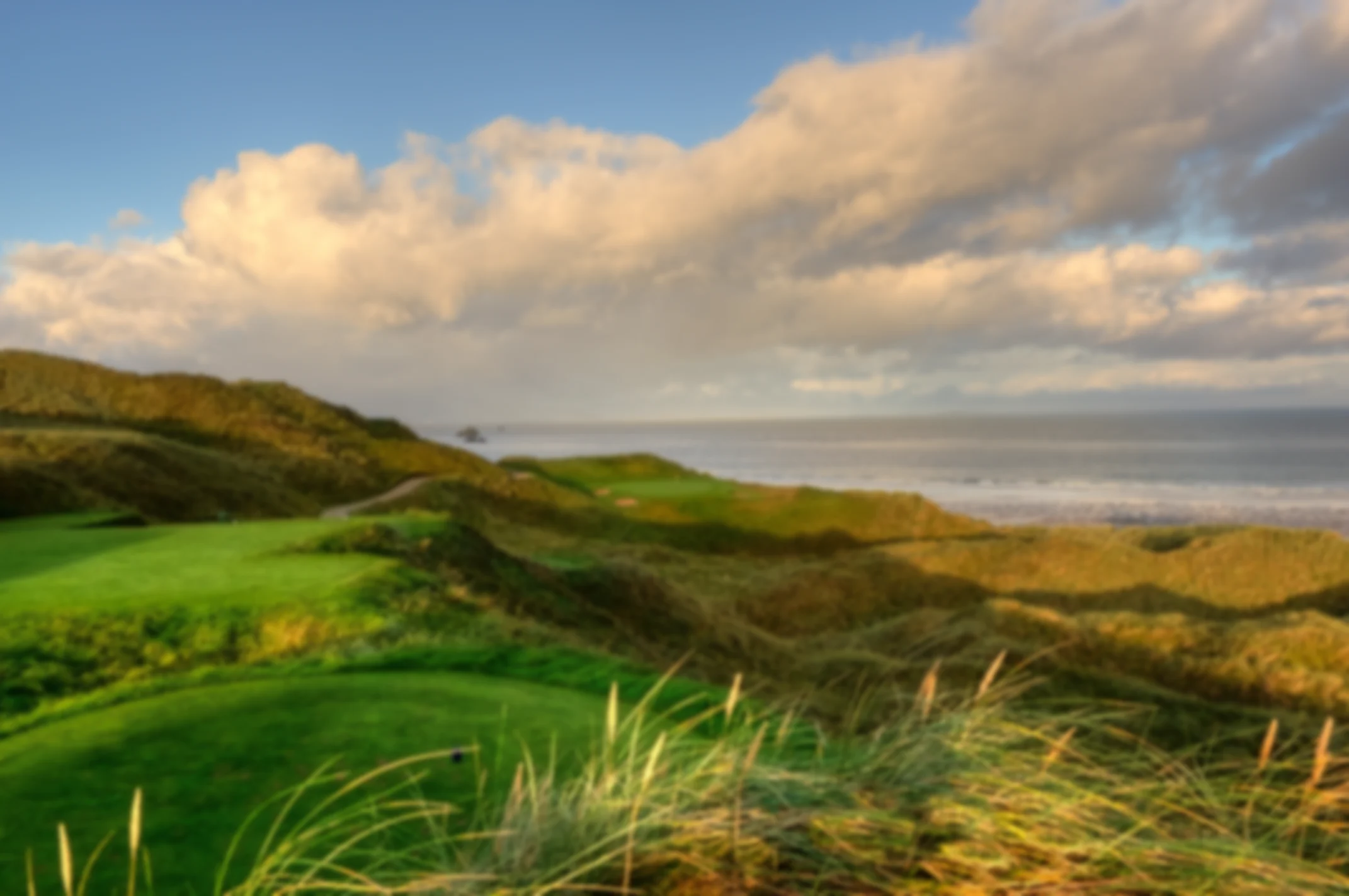 Tralee - Course Image 1