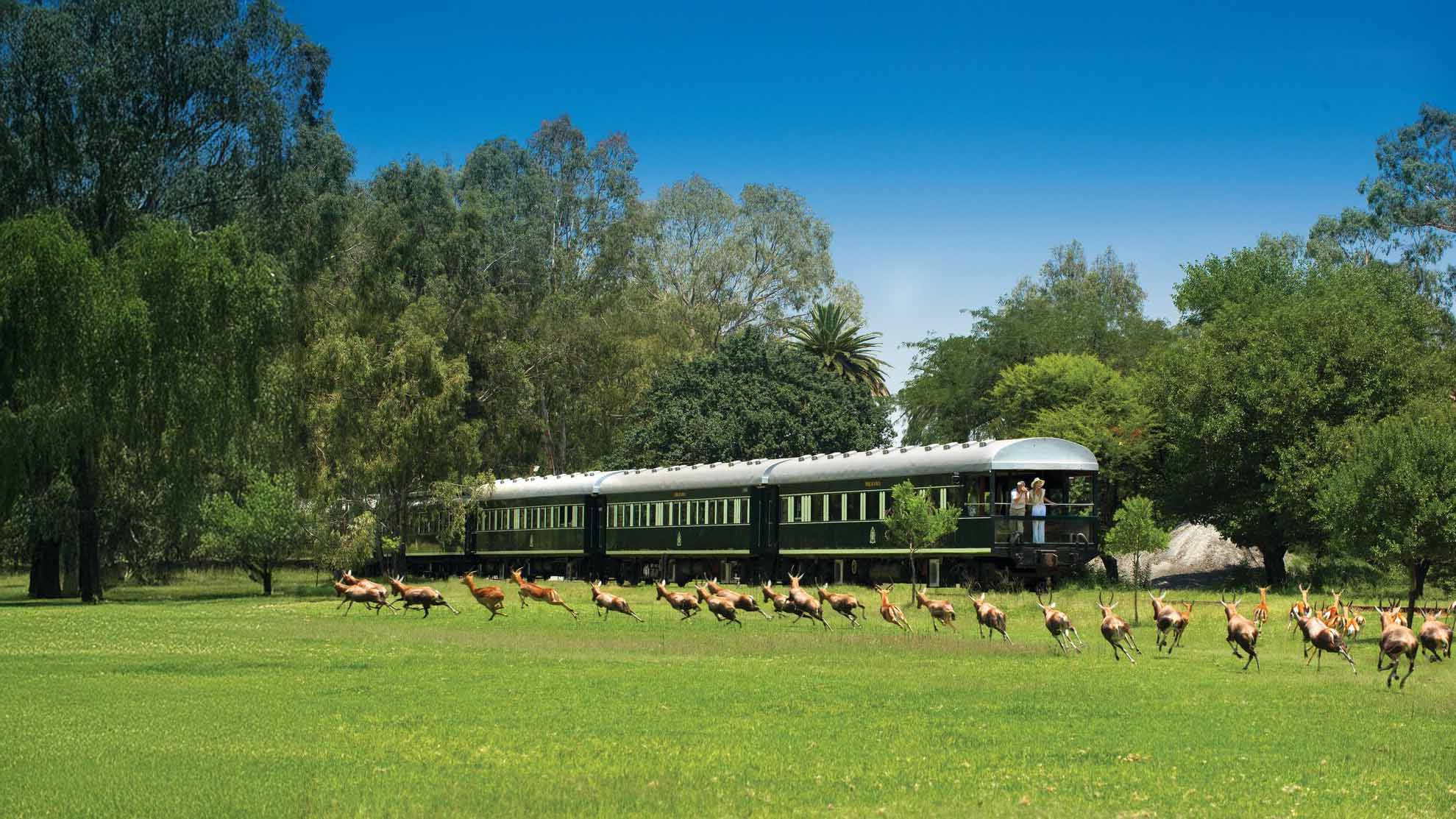 Rovos Rail Golf Collage Tour