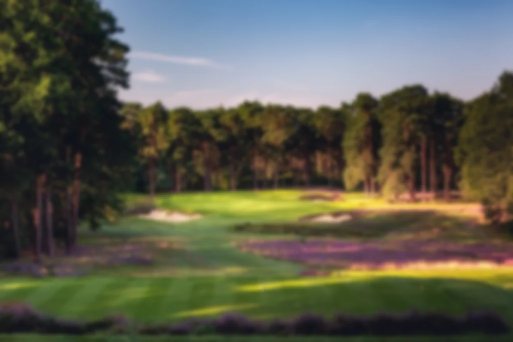 The course at St George's Hill
