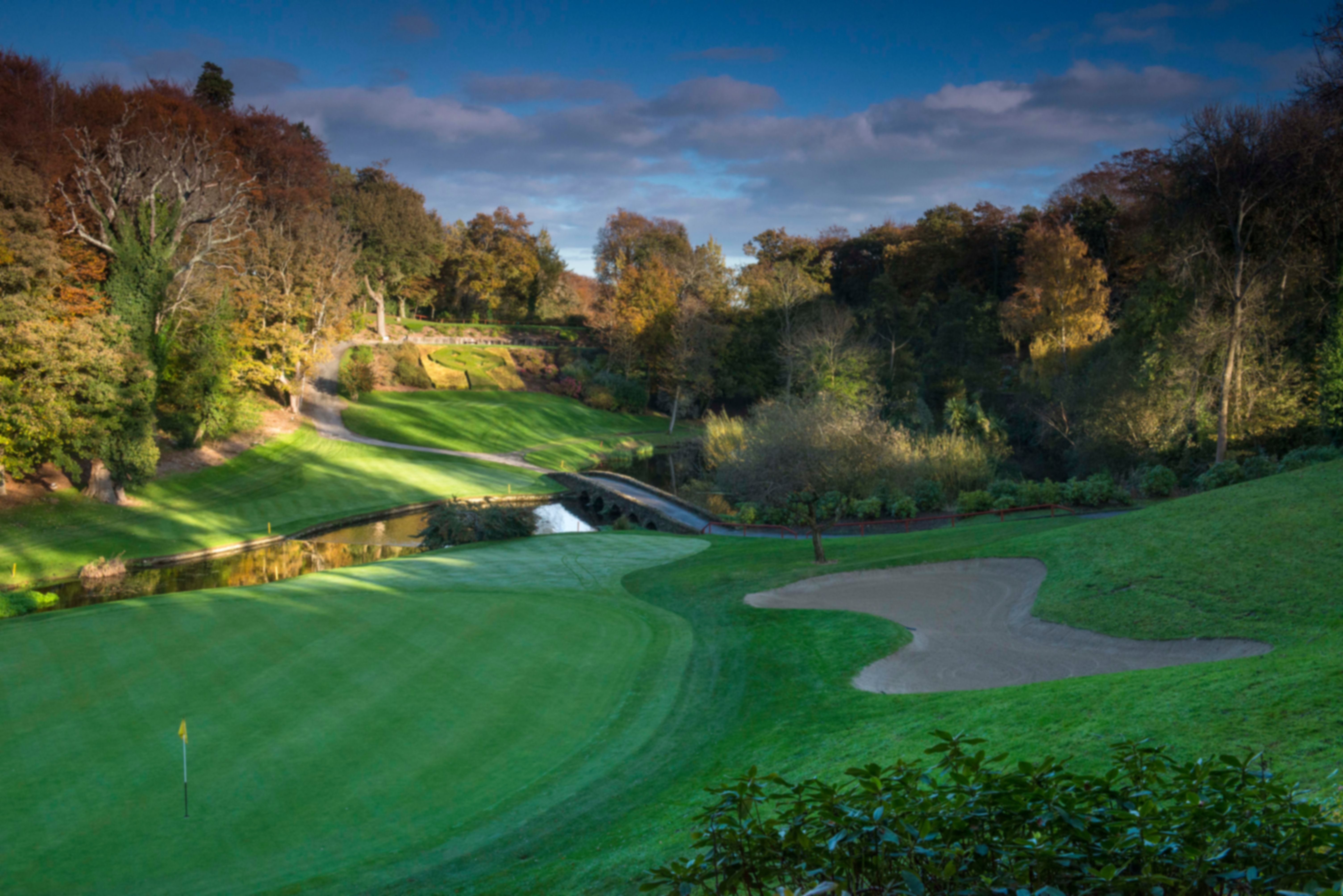 Druids Glen - Druids Glen - 12 green