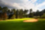 mid-pines-12th-5019