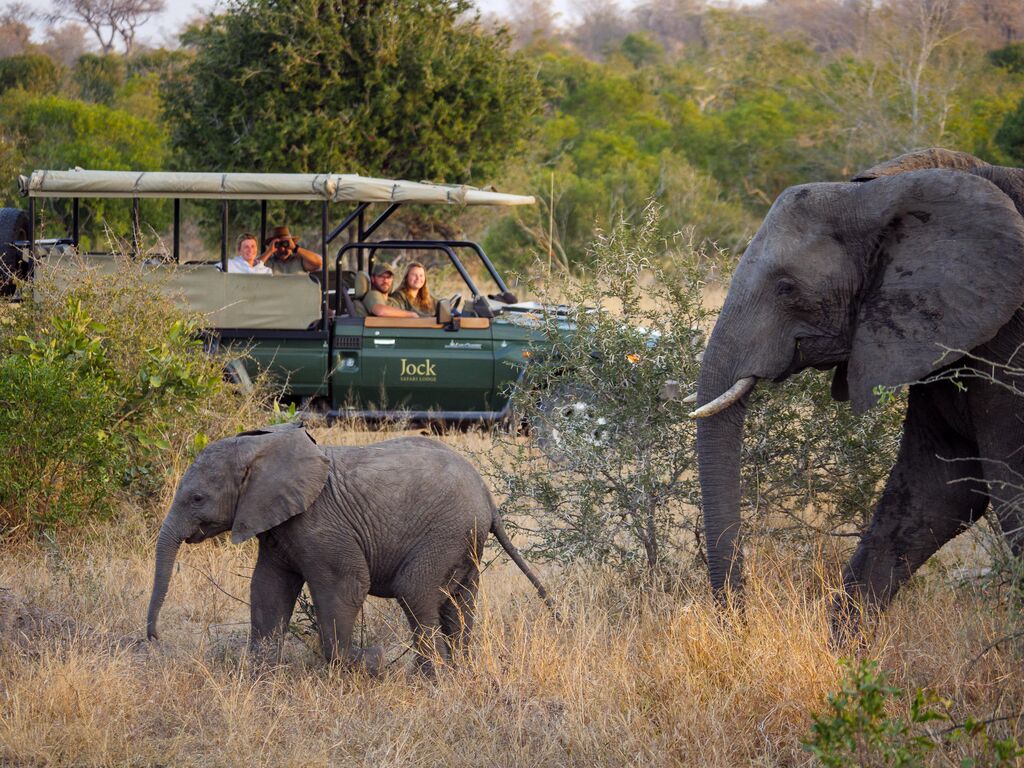 Western Cape Golf & Safari Tour