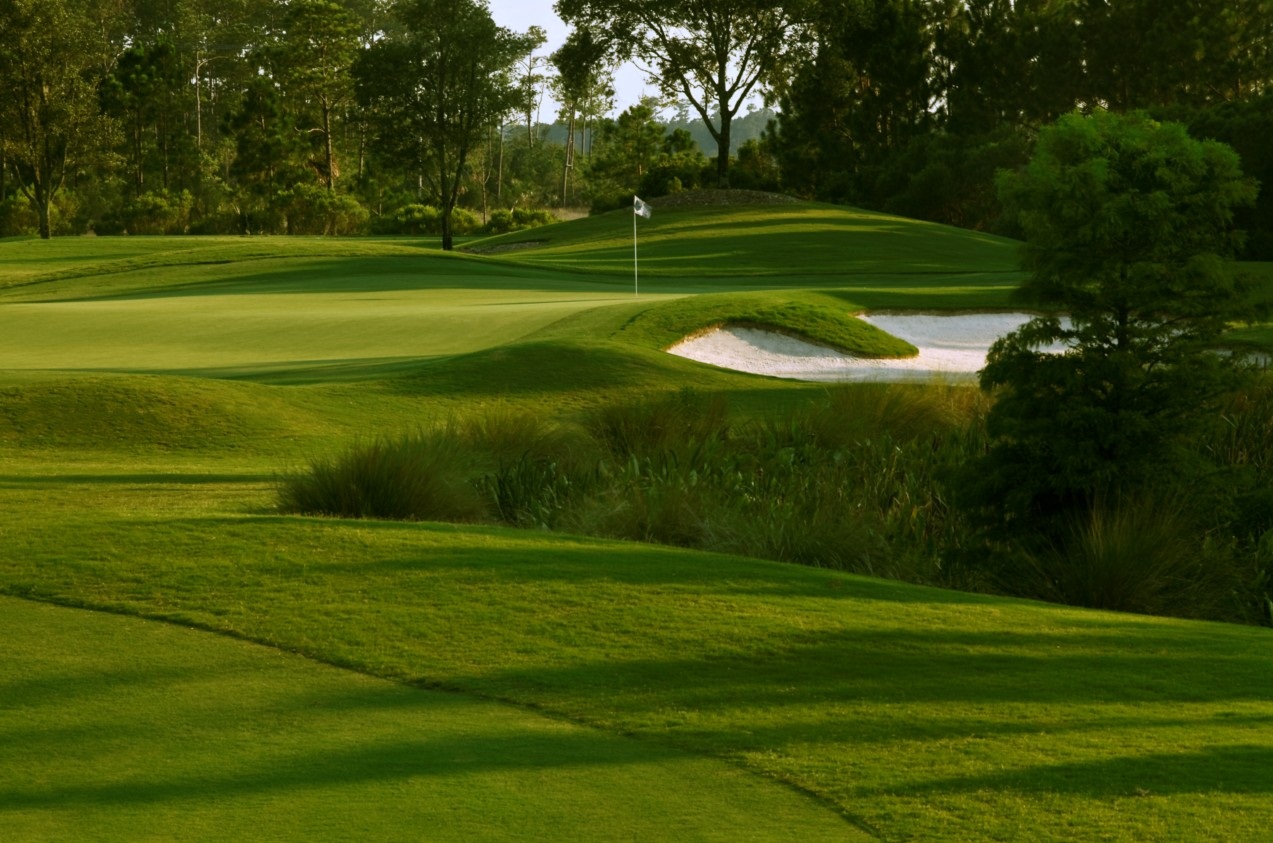 Charleston Golf Tour 