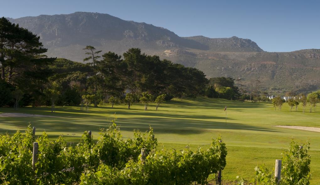 Venue - 62-steenberg-golf-008