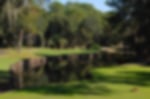 Golf course - harbour-town-golf-links-sea-pines : harbour-town-golf-links-14