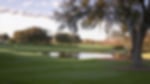 Venue - bay-hill-club-and-lodge : hole08-copy
