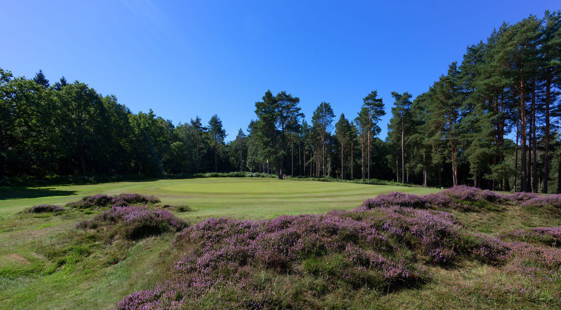 Royal Ashdown Forest Pairs 