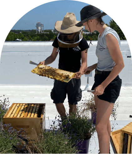 Inset photo of Deer Park, NY team members with beehive