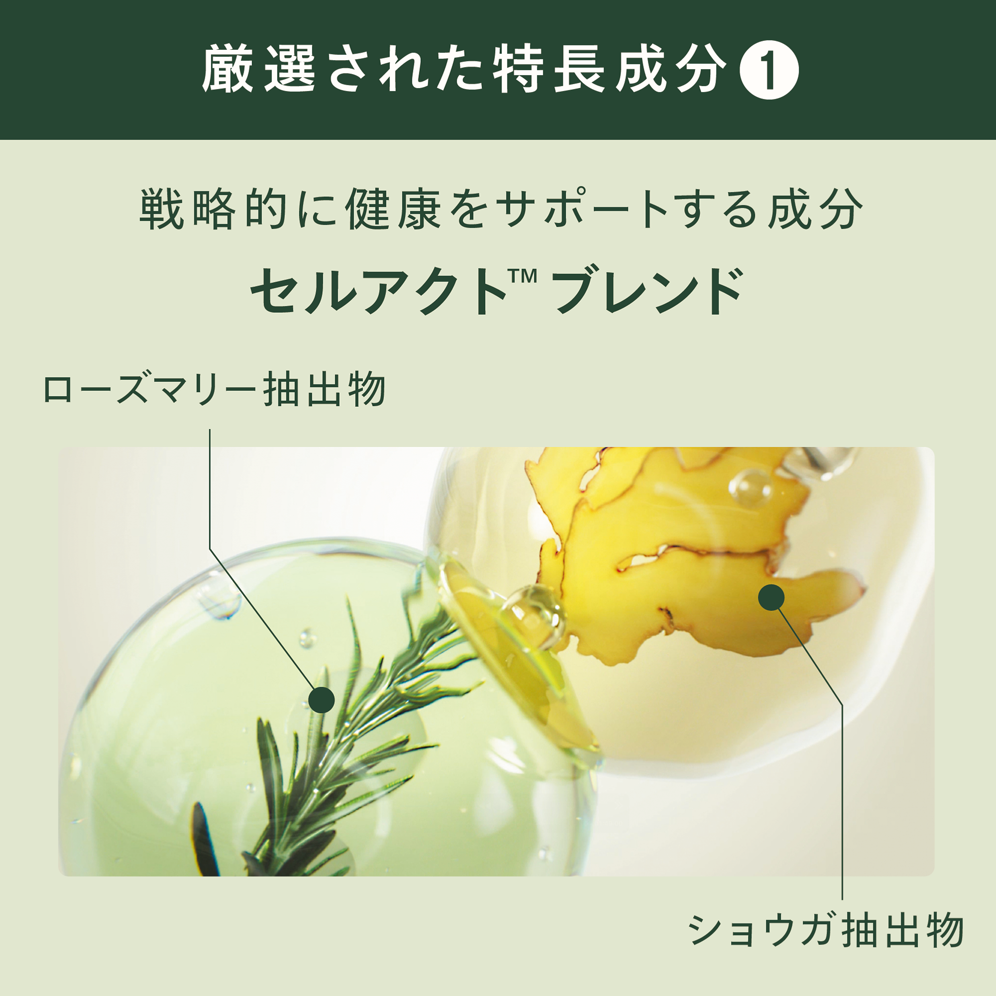 セルアクト) ：Amway(日本アムウェイ) | amwaylive