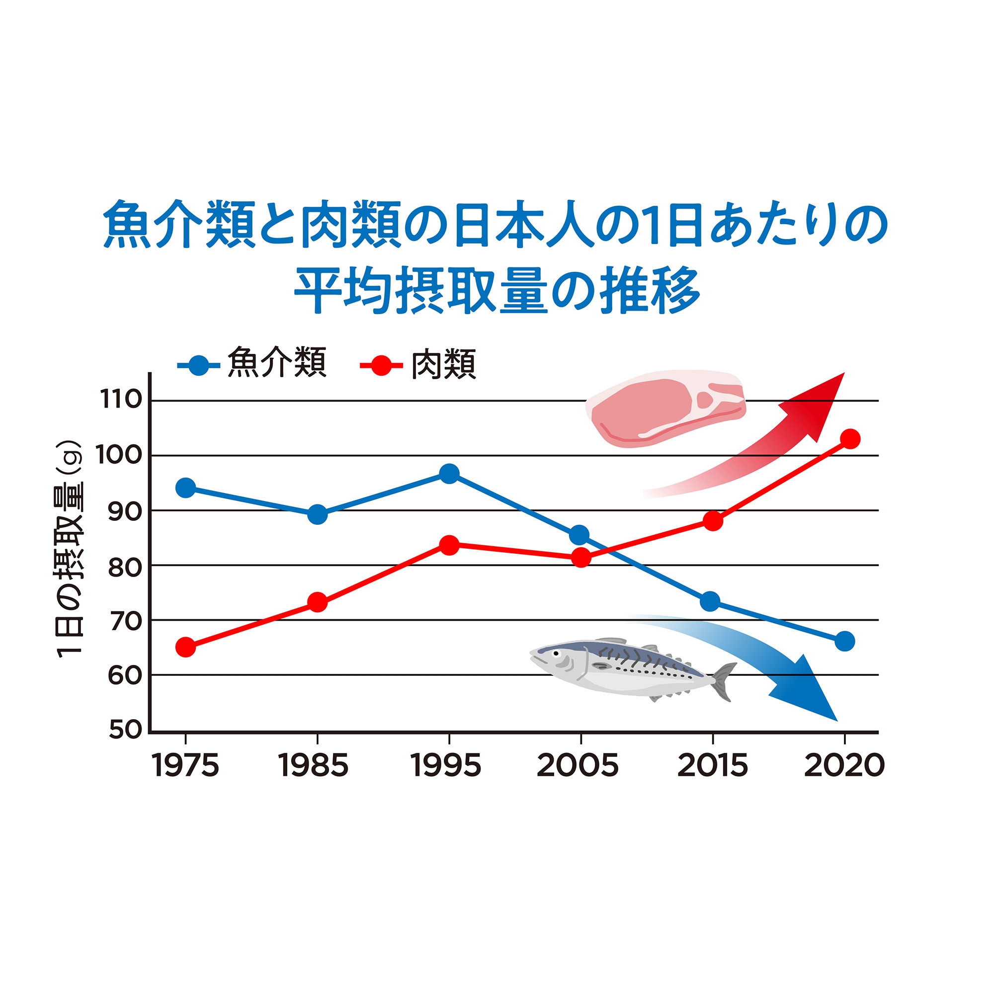 ブレイン＆ハート (DHA&EPA) お徳用：Amway(アムウェイ)Shopping