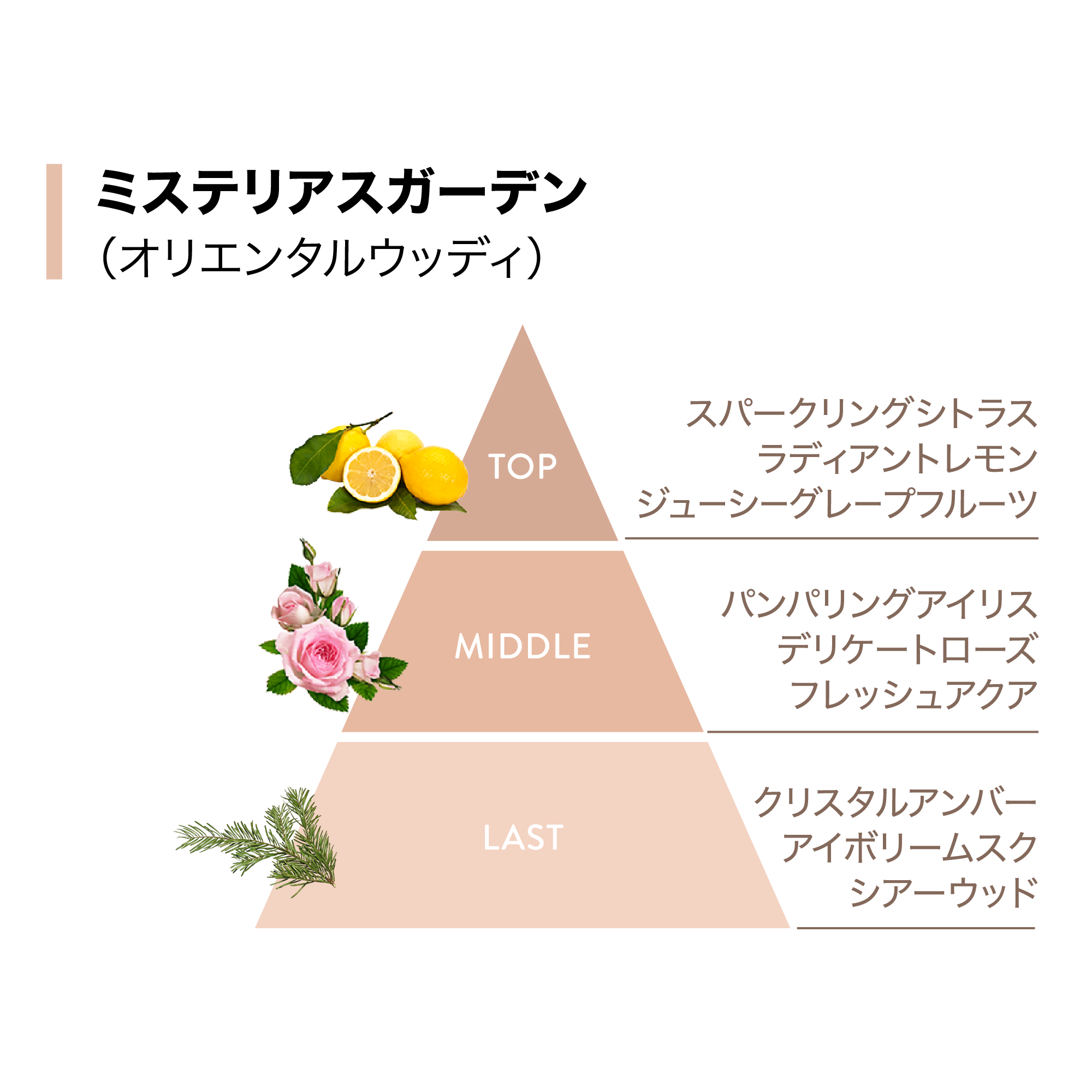 スムース モイスチャー ヘアコンディショナー 280mL) ：Amway(日本