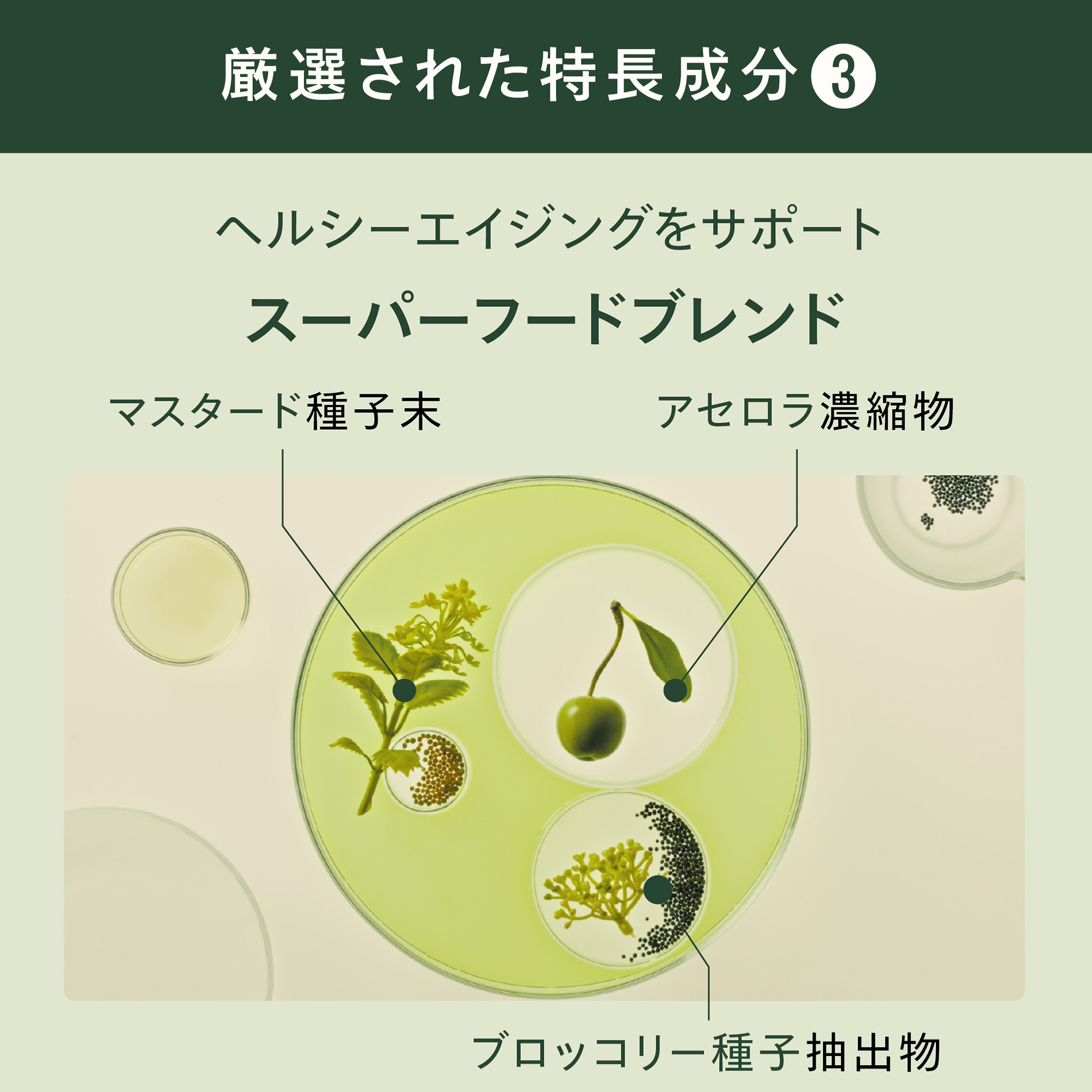 セルアクト) ：Amway(日本アムウェイ) | amwaylive