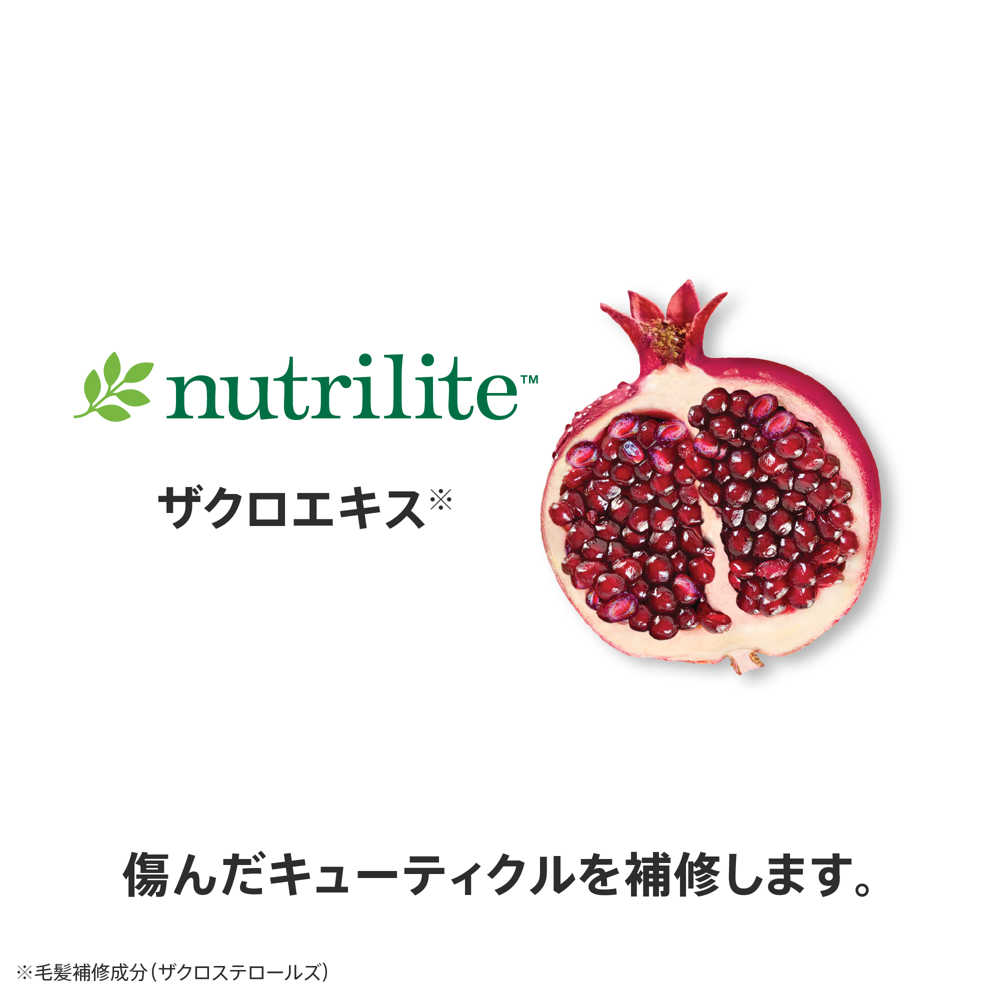 ヘアトリートメント) ：Amway(日本アムウェイ) | amwaylive
