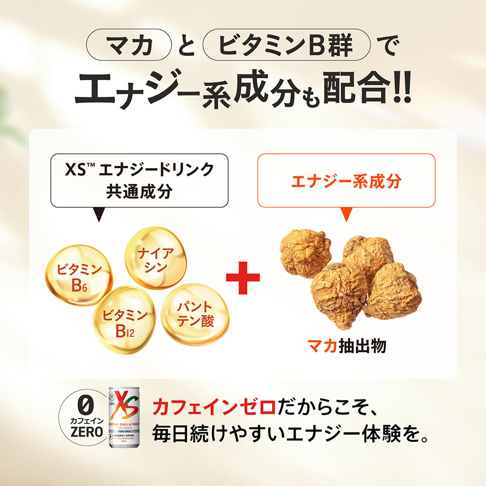 エナジードリンク エクストラ チルアンドフリー 24本) ：Amway(日本