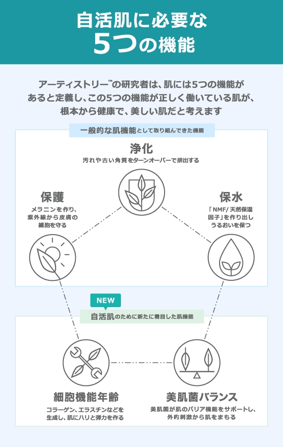 人気の贈り物が アムウェイ アーティストリー スキン ニュートリション しっとり フェイスウォッシュ〈洗顔料〉 145ml スキンNT保湿 Amway  fucoa.cl