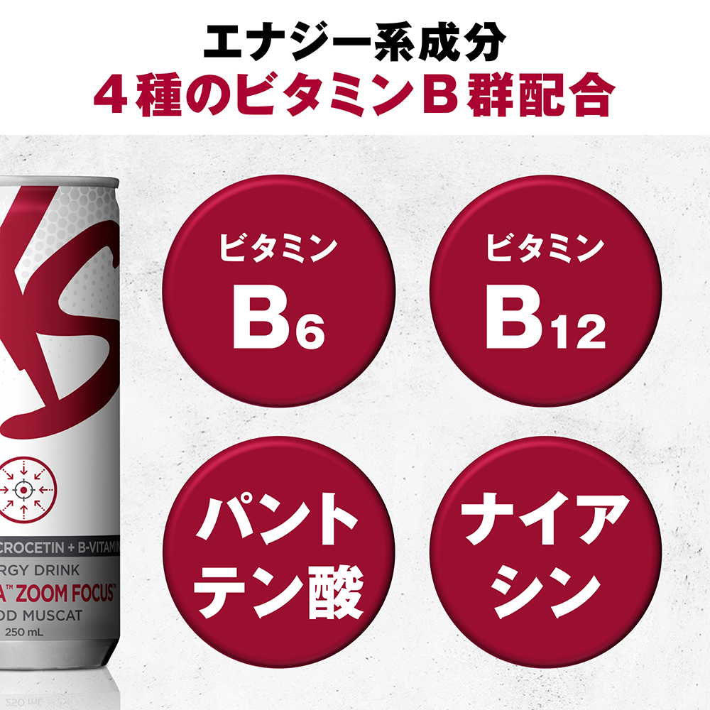 激安アウトレット！ アムウェイ エナジードリンク ゆず、ピーチ 飲料・酒