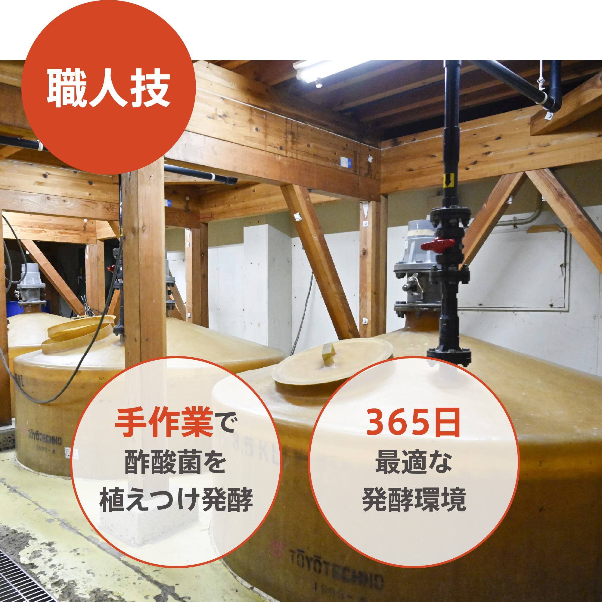 10円基金対象】米酢) ：Amway(日本アムウェイ) | amwaylive