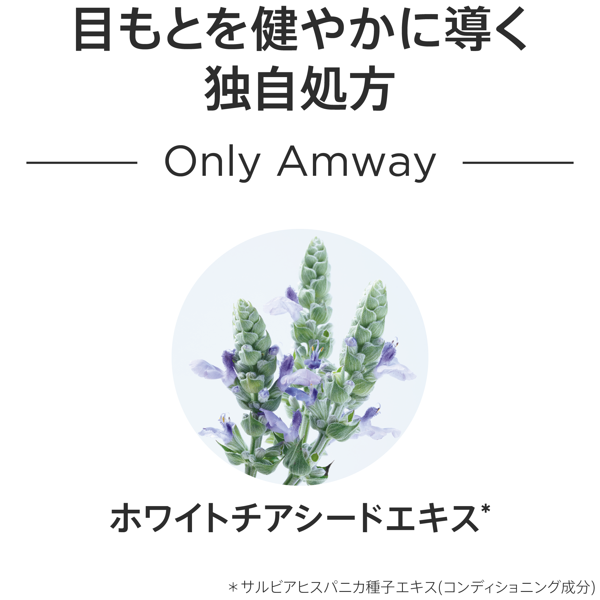 アイシャドウ カラー：シックブラウン：Amway(アムウェイ)Shopping