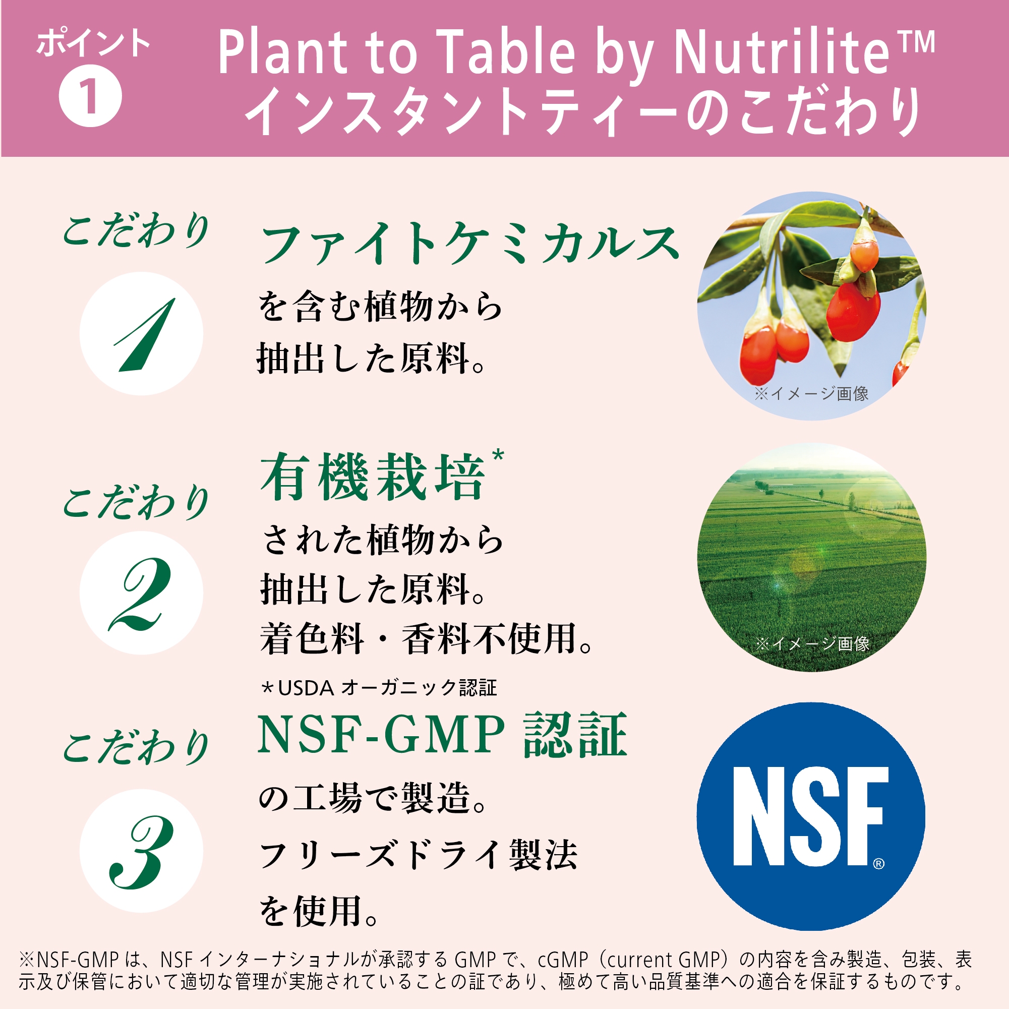 Plant to Table by Nutrilite ローズグリーンティー：Amway 