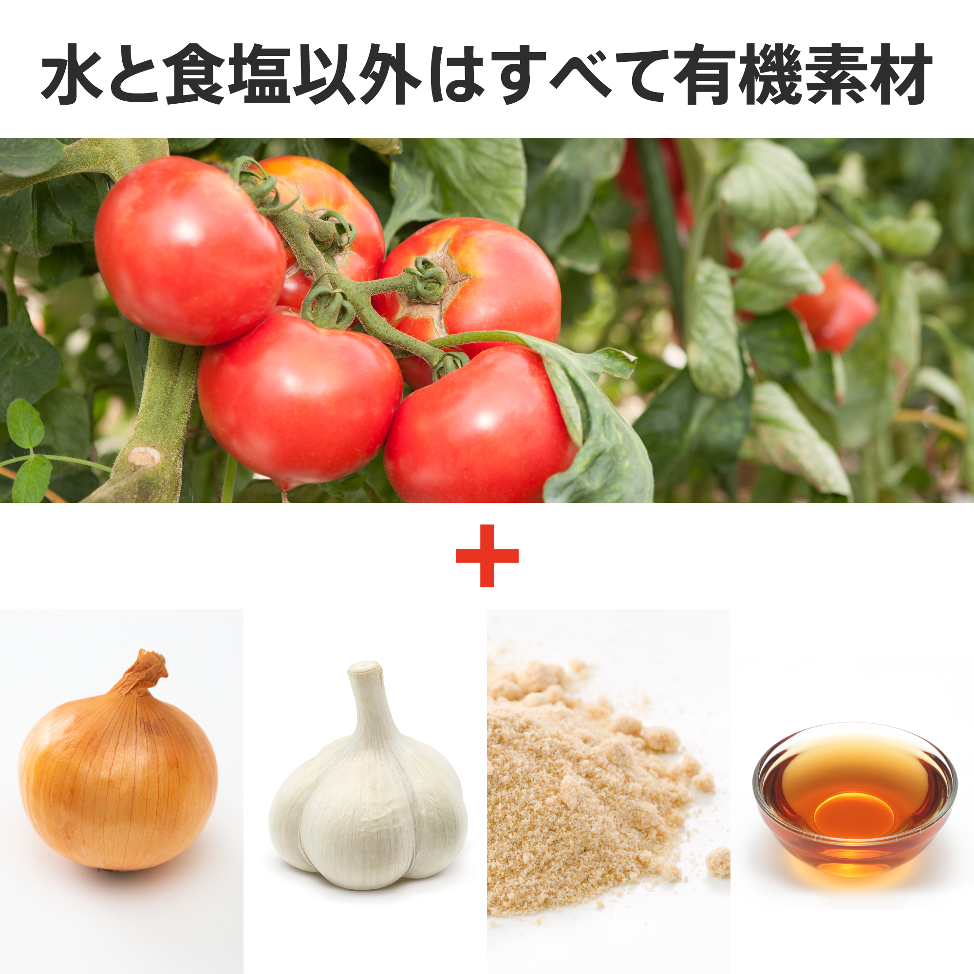 10円基金対象】オーガニック ケチャップ プレーンタイプ