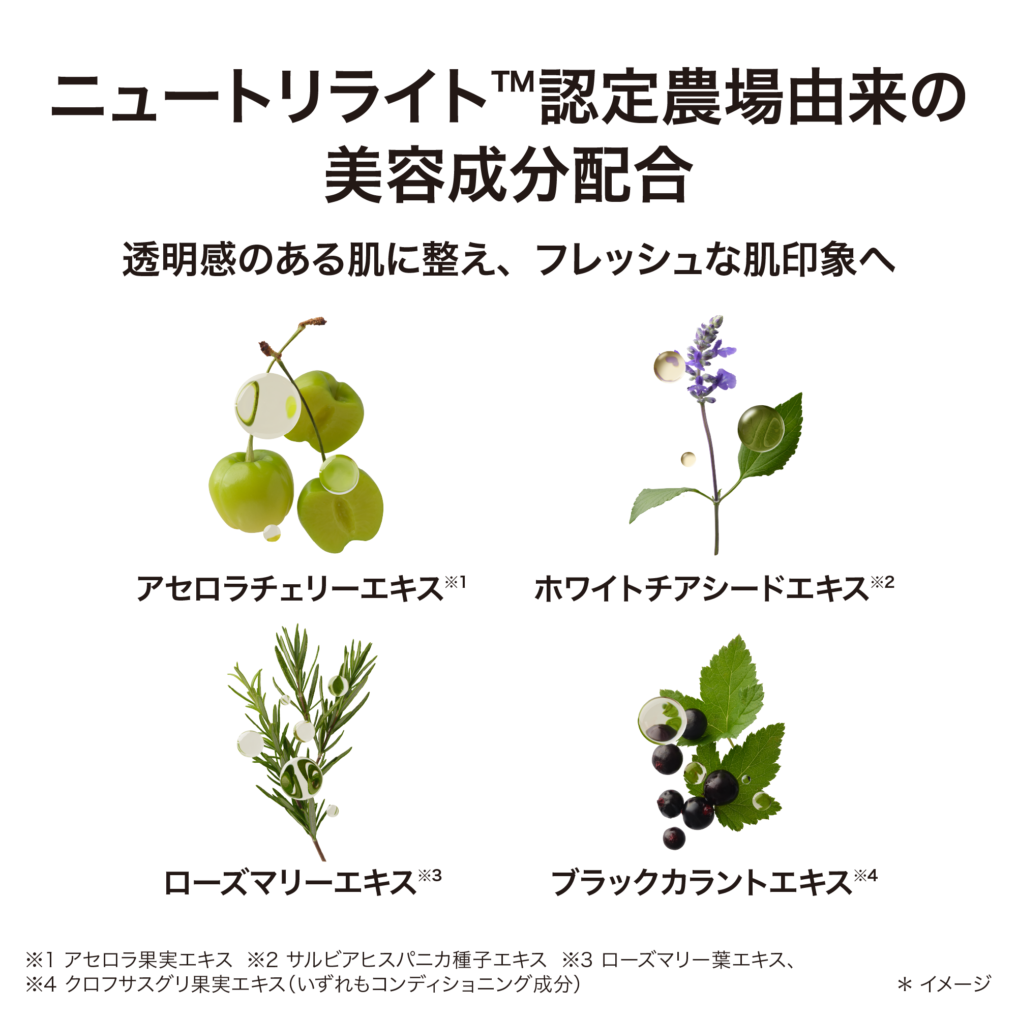 フレッシュエッセンス ジェルマスク) ：Amway(日本アムウェイ) | amwaylive