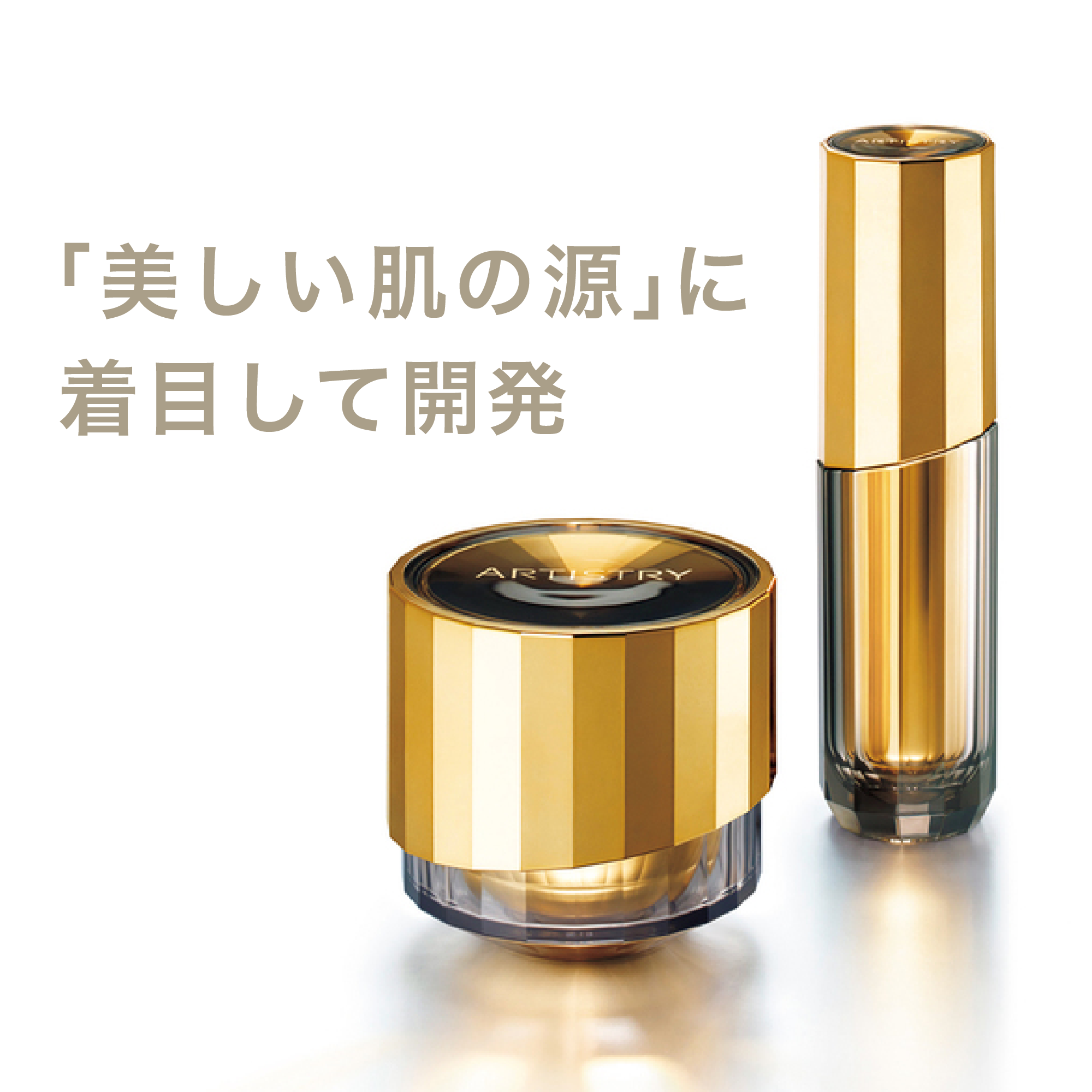 低価正規品】 最高級品✴︎Amway アムウェイ アーティストリー