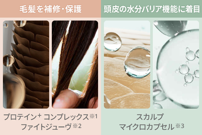 頭皮と髪に着目し生まれ変わったサテニーク サテニーク™ スカルプ＆ヘアエッセンス | amwaylive