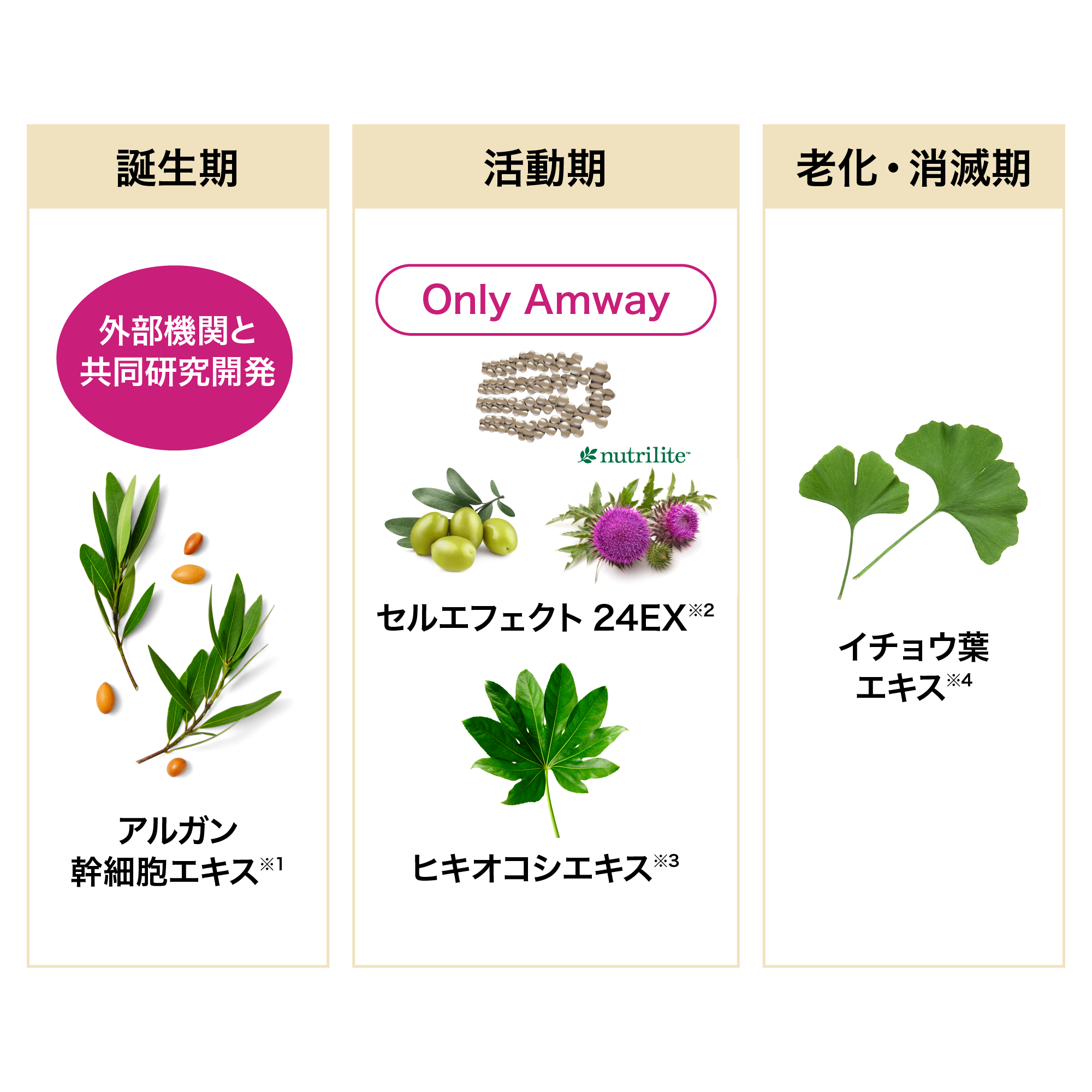 ロンジェビティ クリーム) ：Amway(日本アムウェイ) | amwaylive