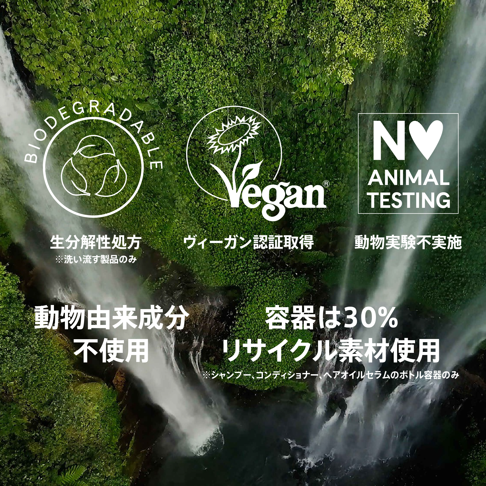 アムウェイシャンプーandリンス4本 ヘアケア シャンプー