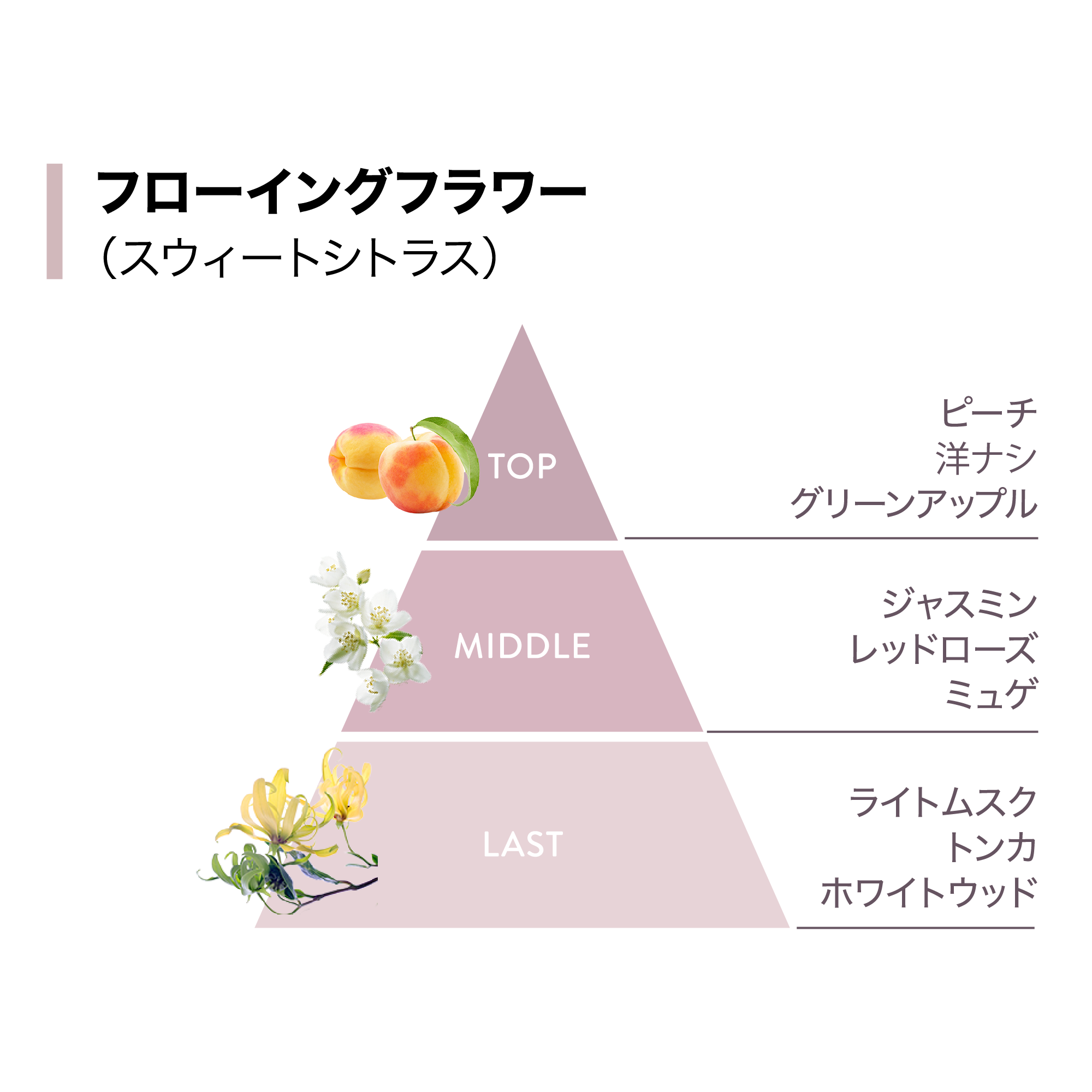 ヘアマスク) ：Amway(日本アムウェイ) | amwaylive