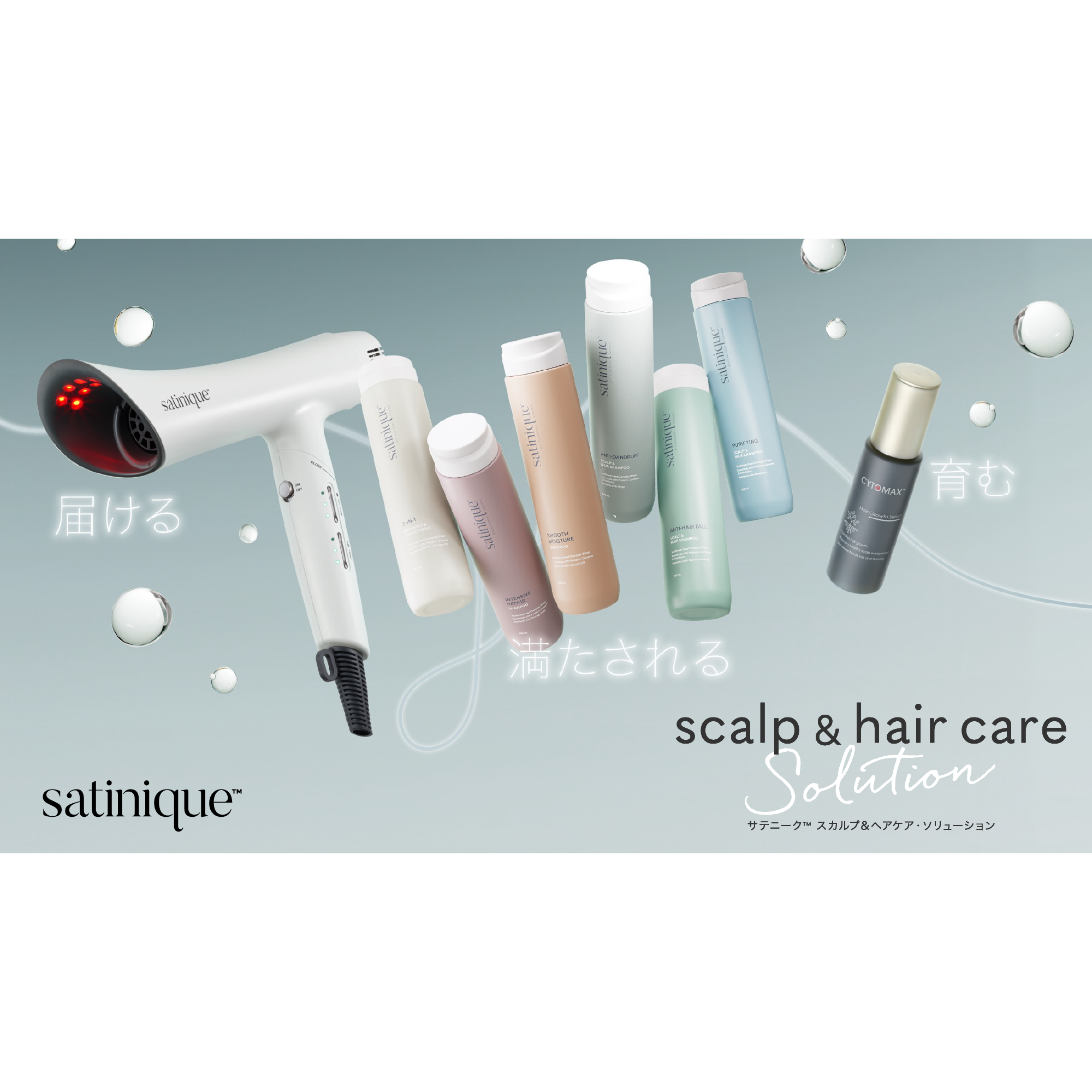 エクストラ シャンプー （地肌ケア） 750mL) ：Amway(日本