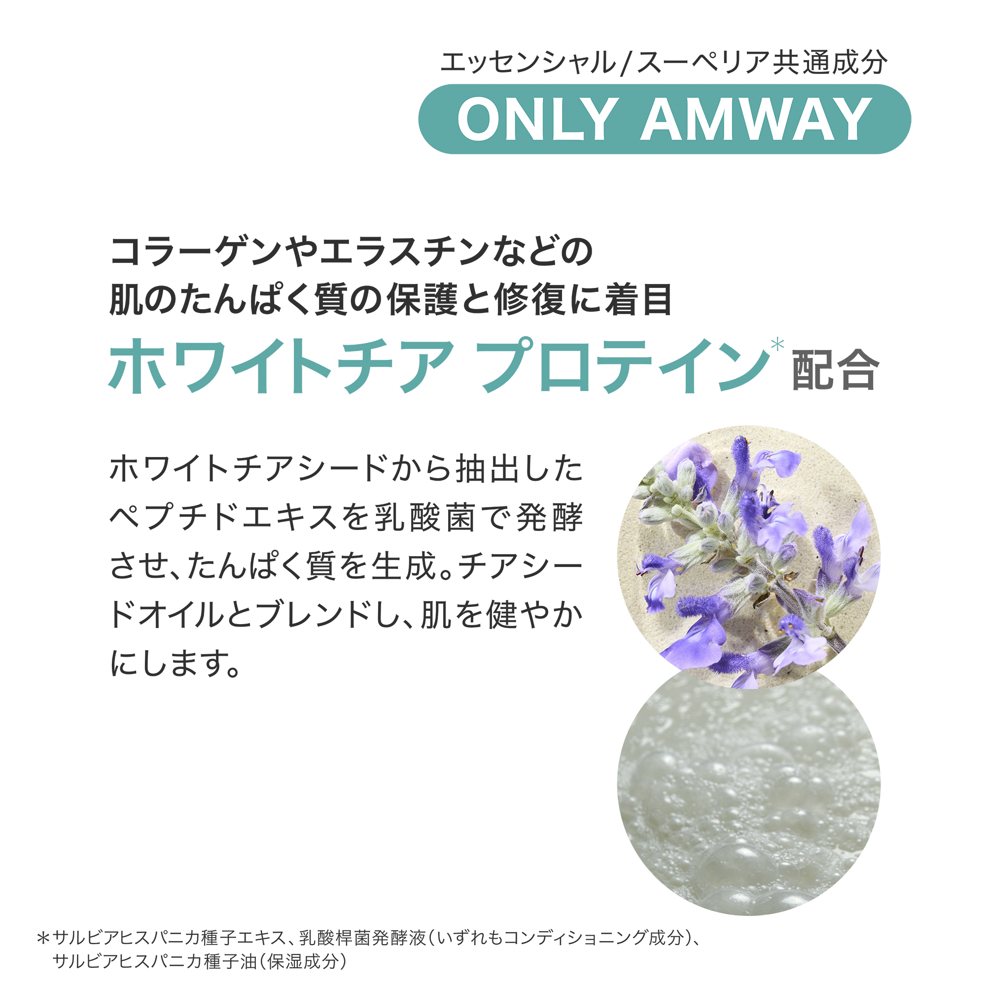 スキンNT ザ・セラム スーペリア) ：Amway(日本アムウェイ) | amwaylive
