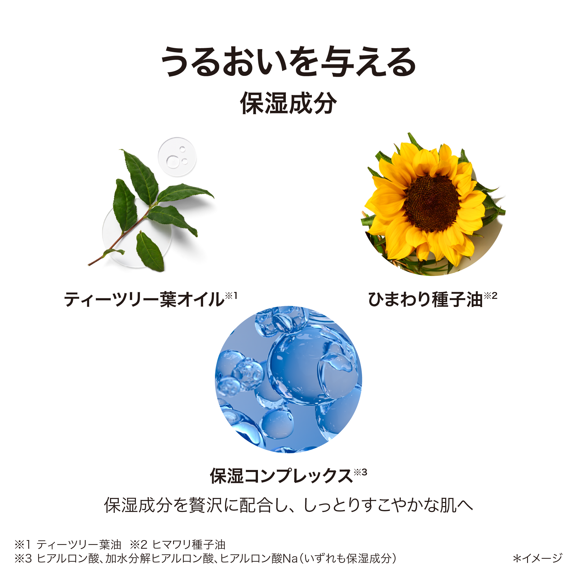 フューチャー グロウ セラム コンシーラー ライト) ：Amway(日本