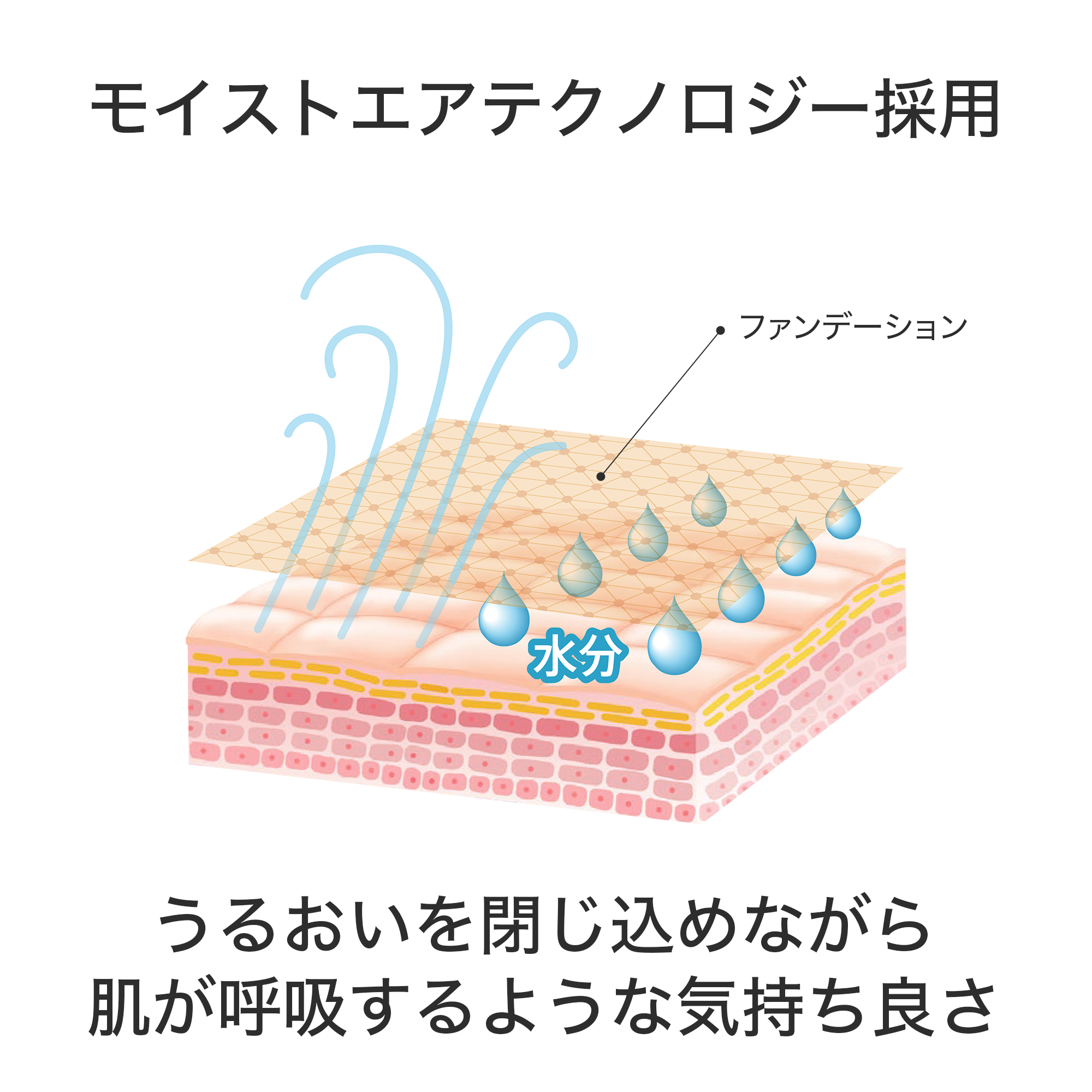 エバー パーフェクト ロングウェアリング ファンデーション 204