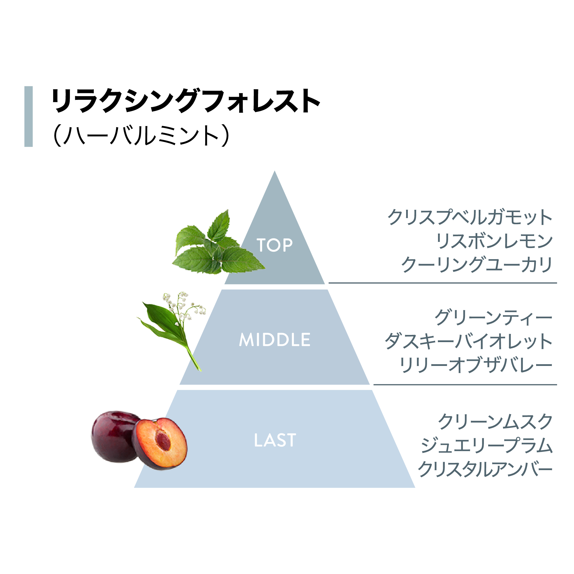 フィールクリーン シャンプー （地肌ケア） 750mL) ：Amway(日本