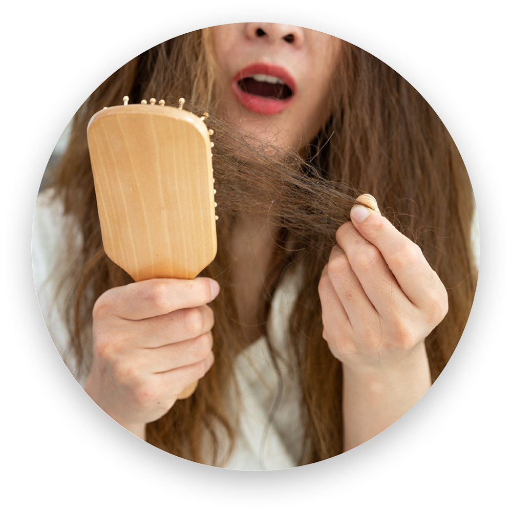 スムース モイスチャー ヘアコンディショナー 280mL) ：Amway(日本