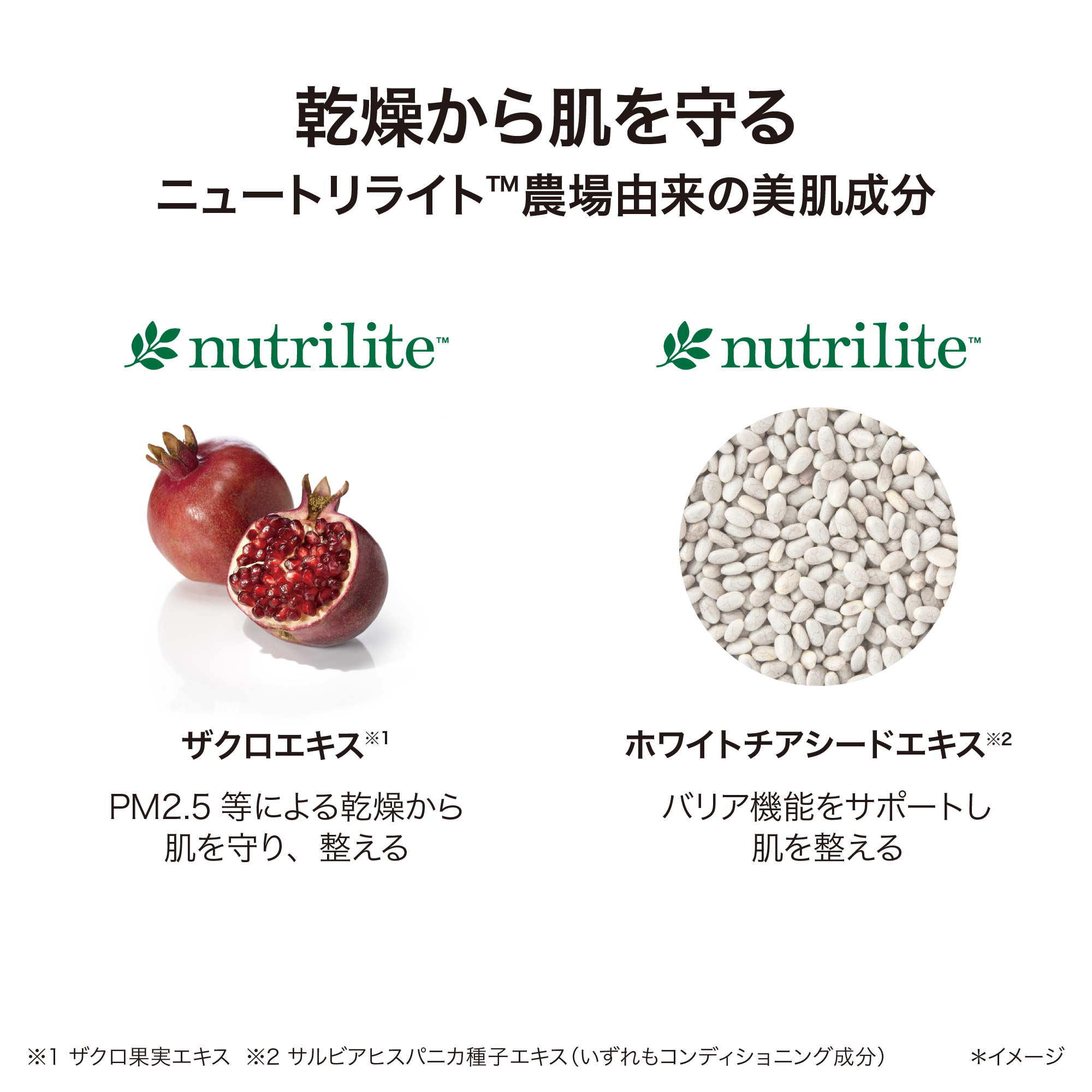 フューチャー グロウ セラム コンシーラー ライトミディアム) ：Amway