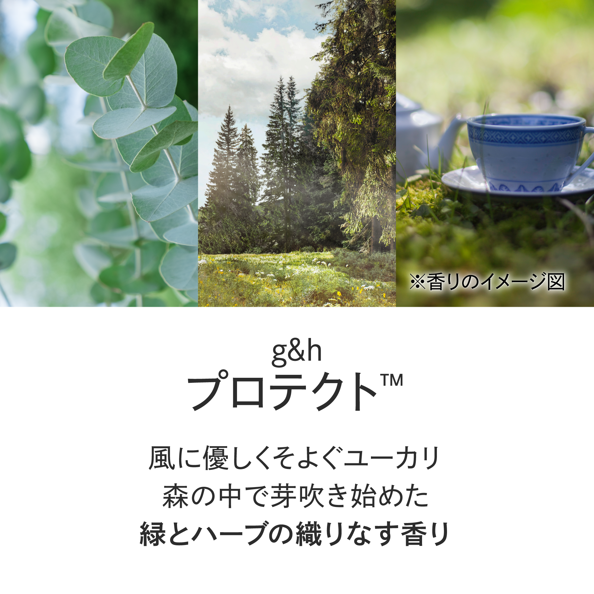 プロテクト ハンドジェルソープ) ：Amway(日本アムウェイ) | amwaylive