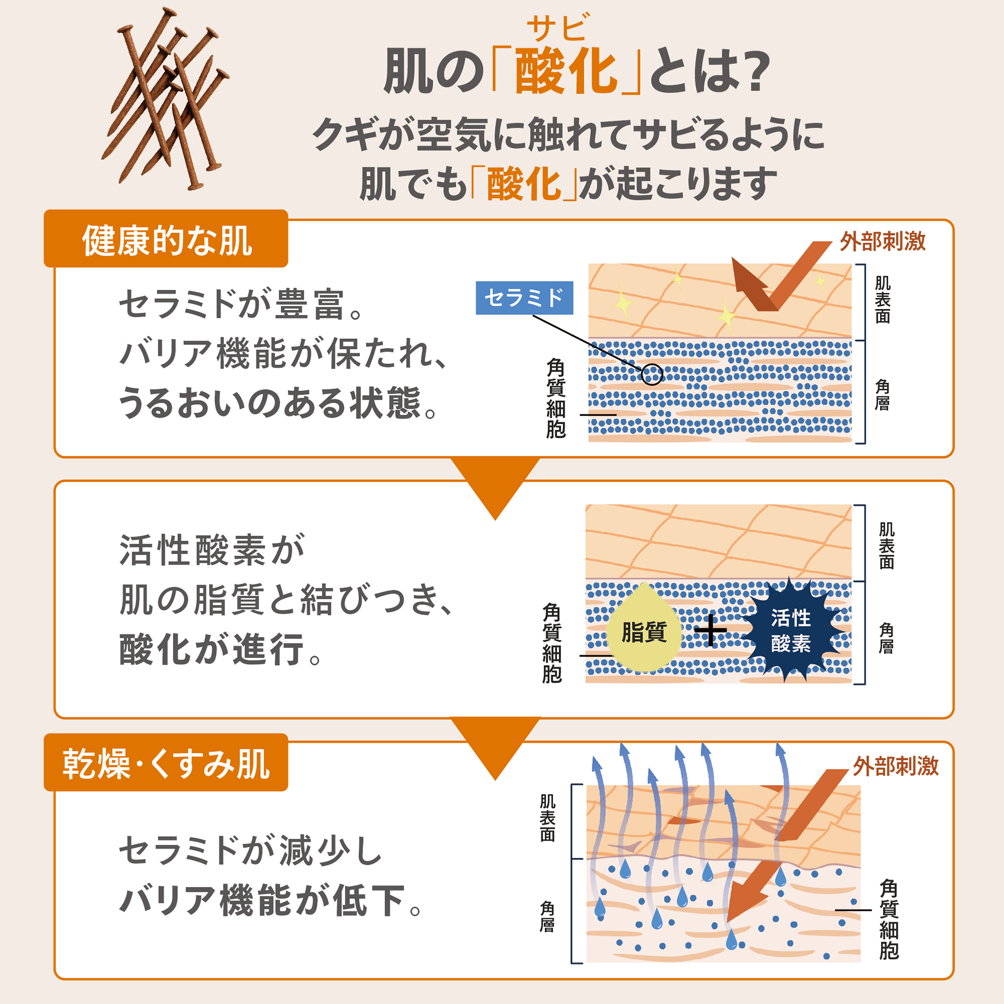 トゥルーアクア パウダードリンク) ：Amway(日本アムウェイ) | amwaylive