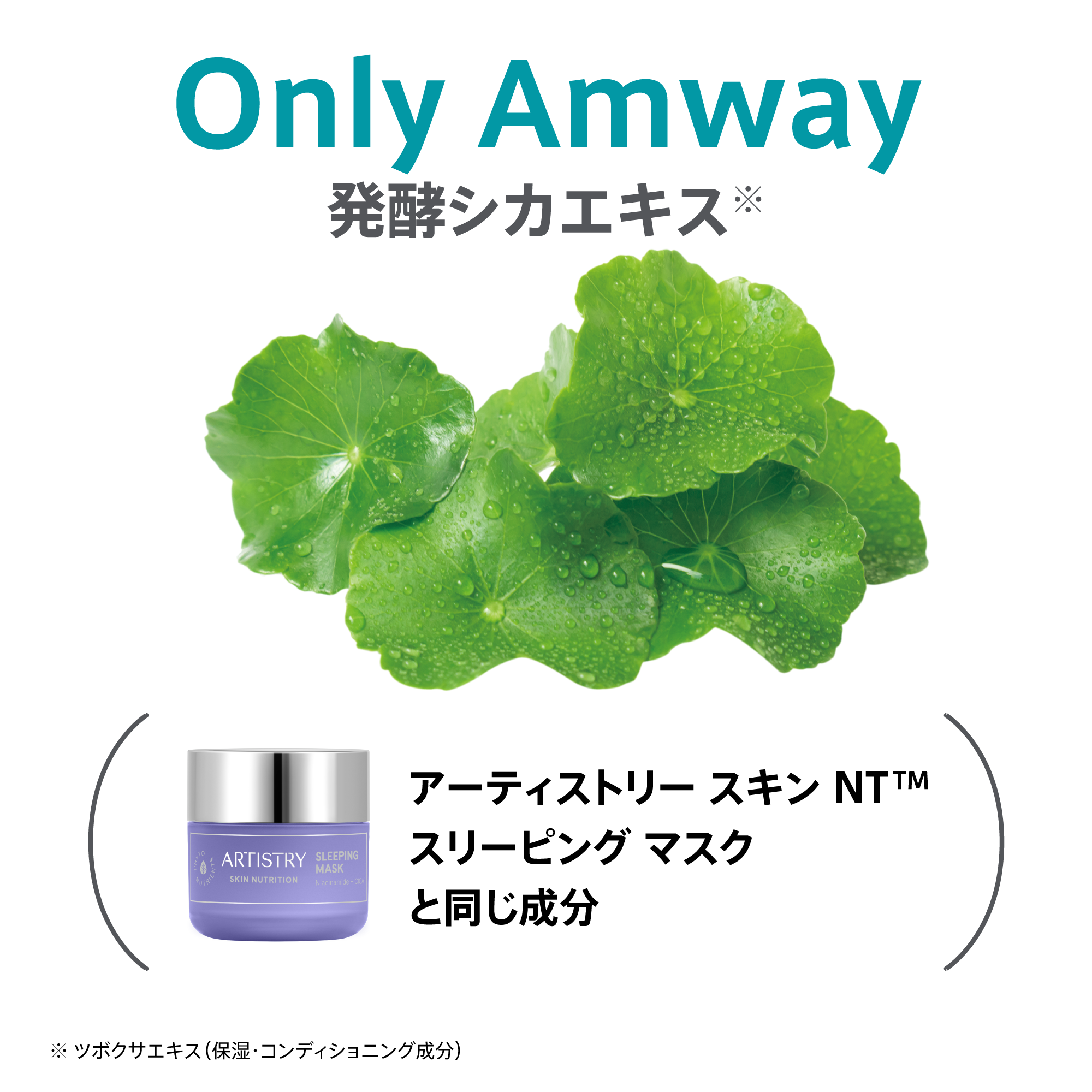 トーンアップ グロウ ベース カラー：ピーチ：Amway(アムウェイ)Shopping