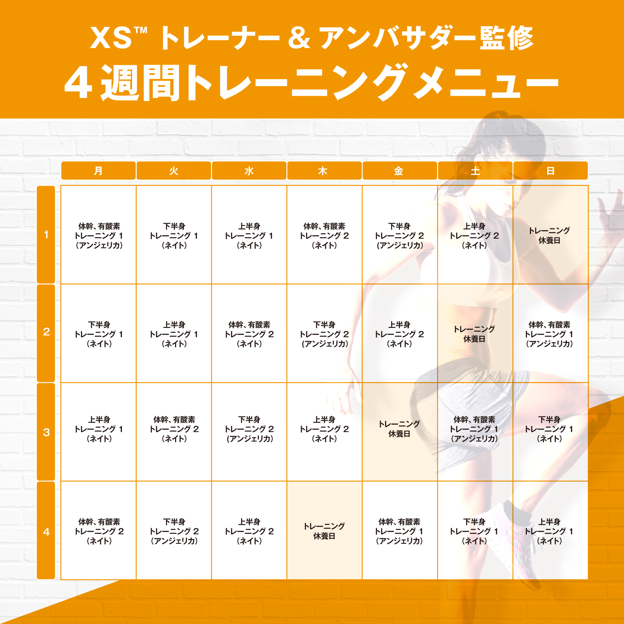 フィットネスプログラム ライトセット 初級 ガイド付き) ：Amway(日本