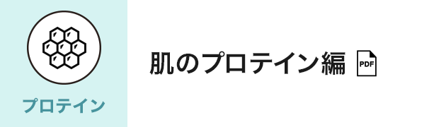 アーティストリー スキン NT™ ビジネスサポート | amwaylive