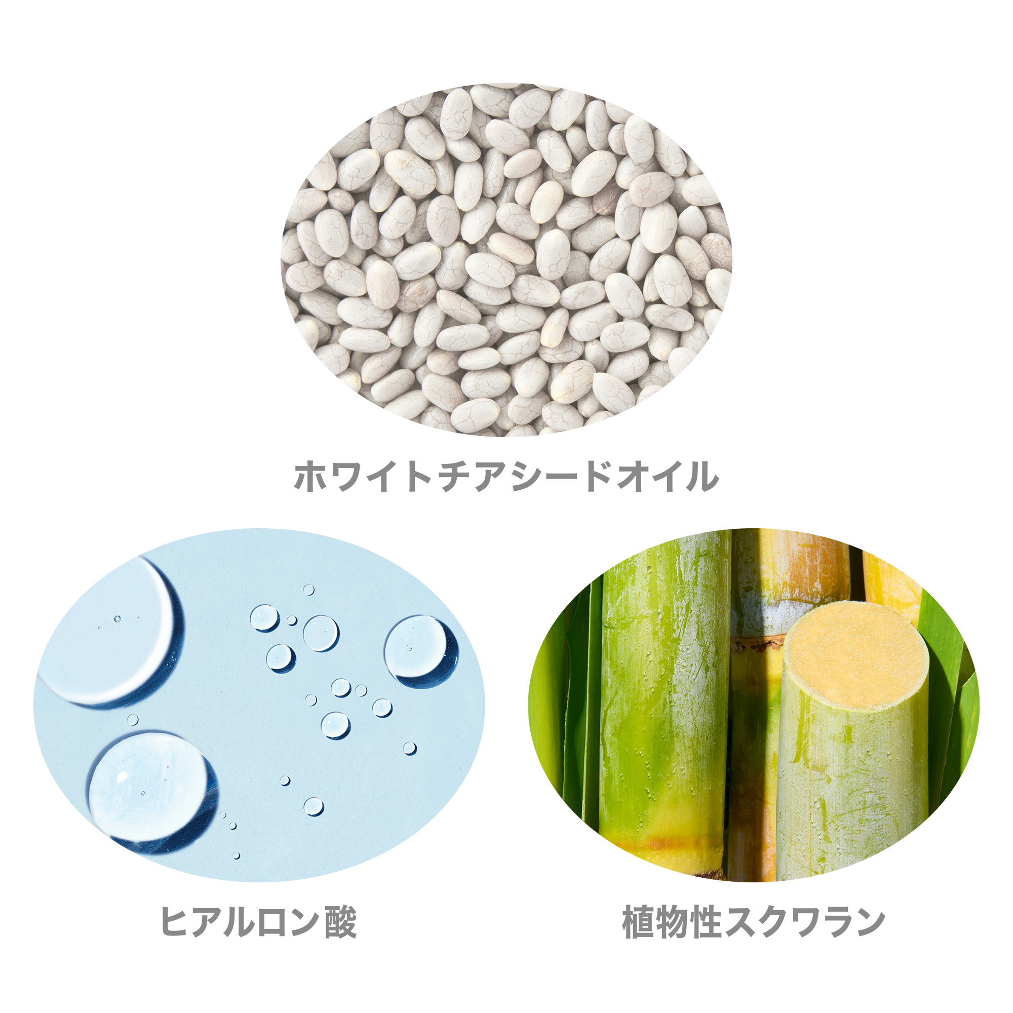 クレンジングクリーム) ：Amway(日本アムウェイ) | amwaylive