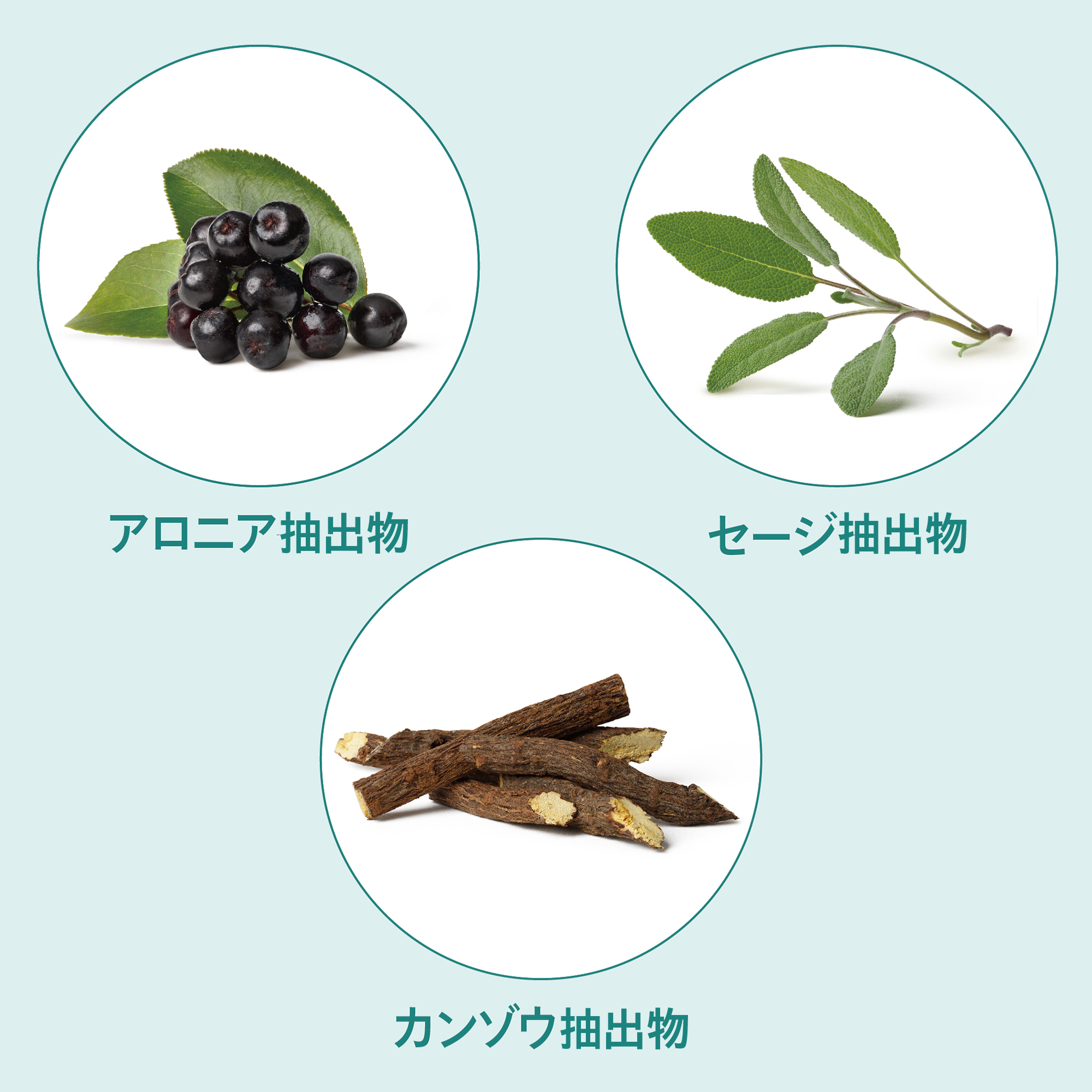 トゥルーユース サプリメント) ：Amway(日本アムウェイ) | amwaylive