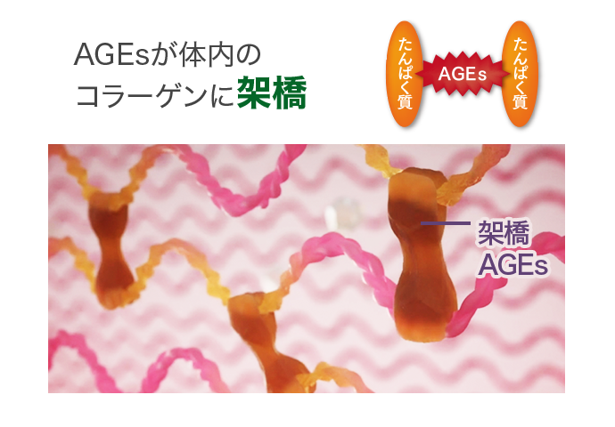 ニュートリライト™ 先進のトータル抗糖化サイエンス | amwaylive
